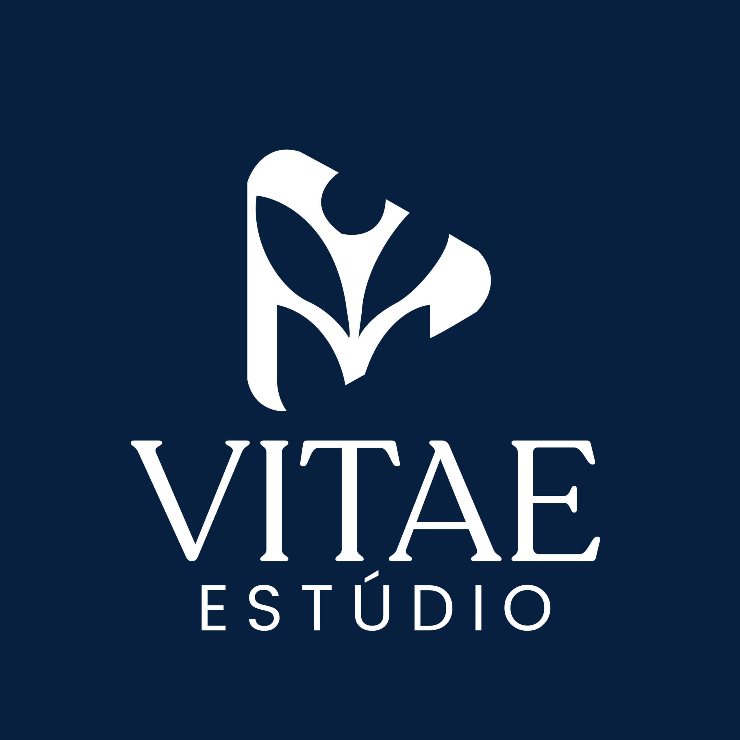 Vitae Estúdio